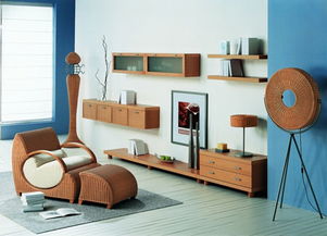 教您如何认识藤艺家具